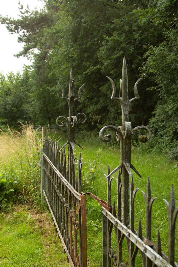 Op De Grens Villa Lommel Exteriör bild